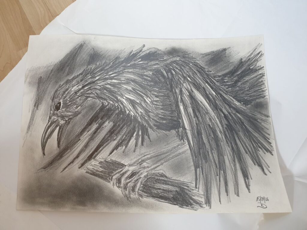 Graphitzeichnung der Rabe